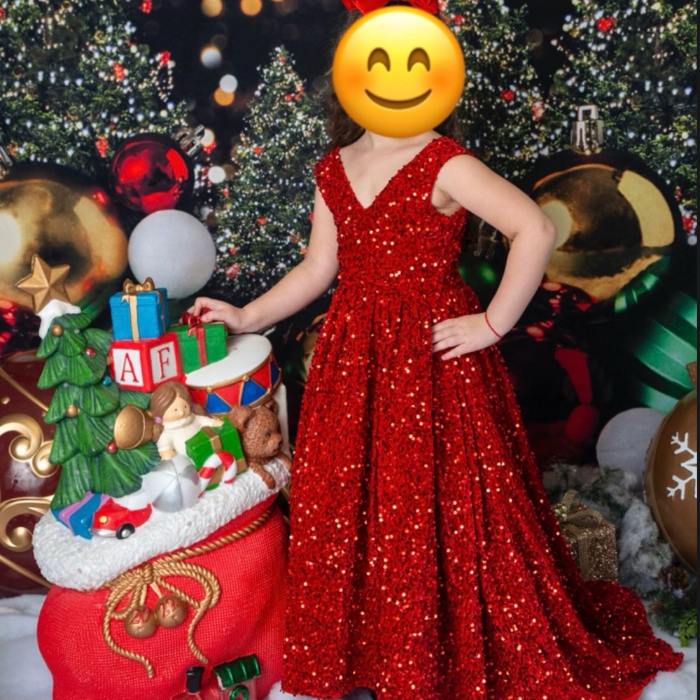 Beautiful sparkly Christmas dress